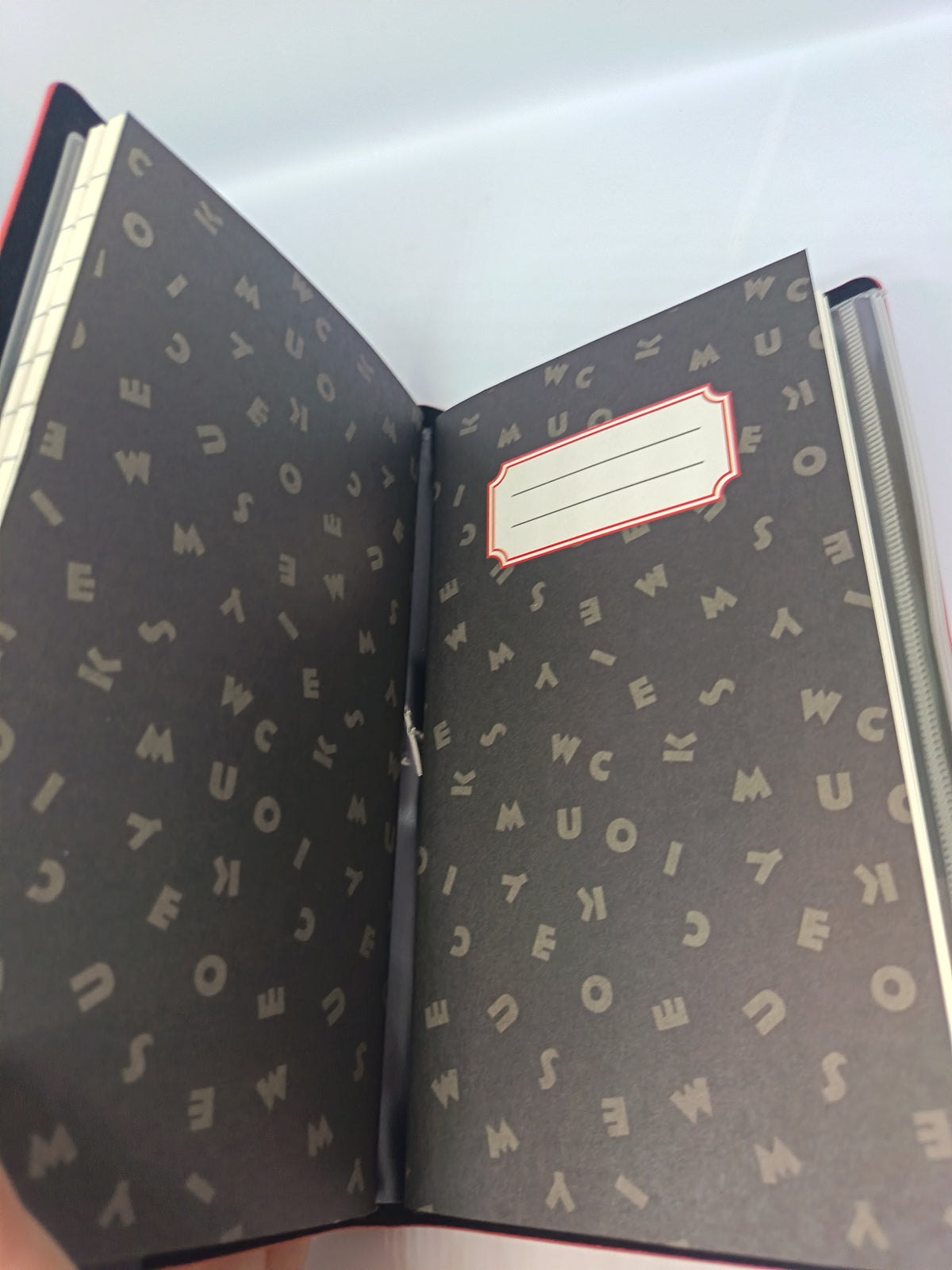 Carnets de voyage Disney Mickey