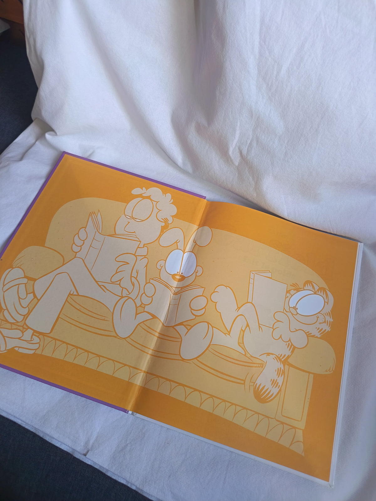 Bd Garfield fait le poids