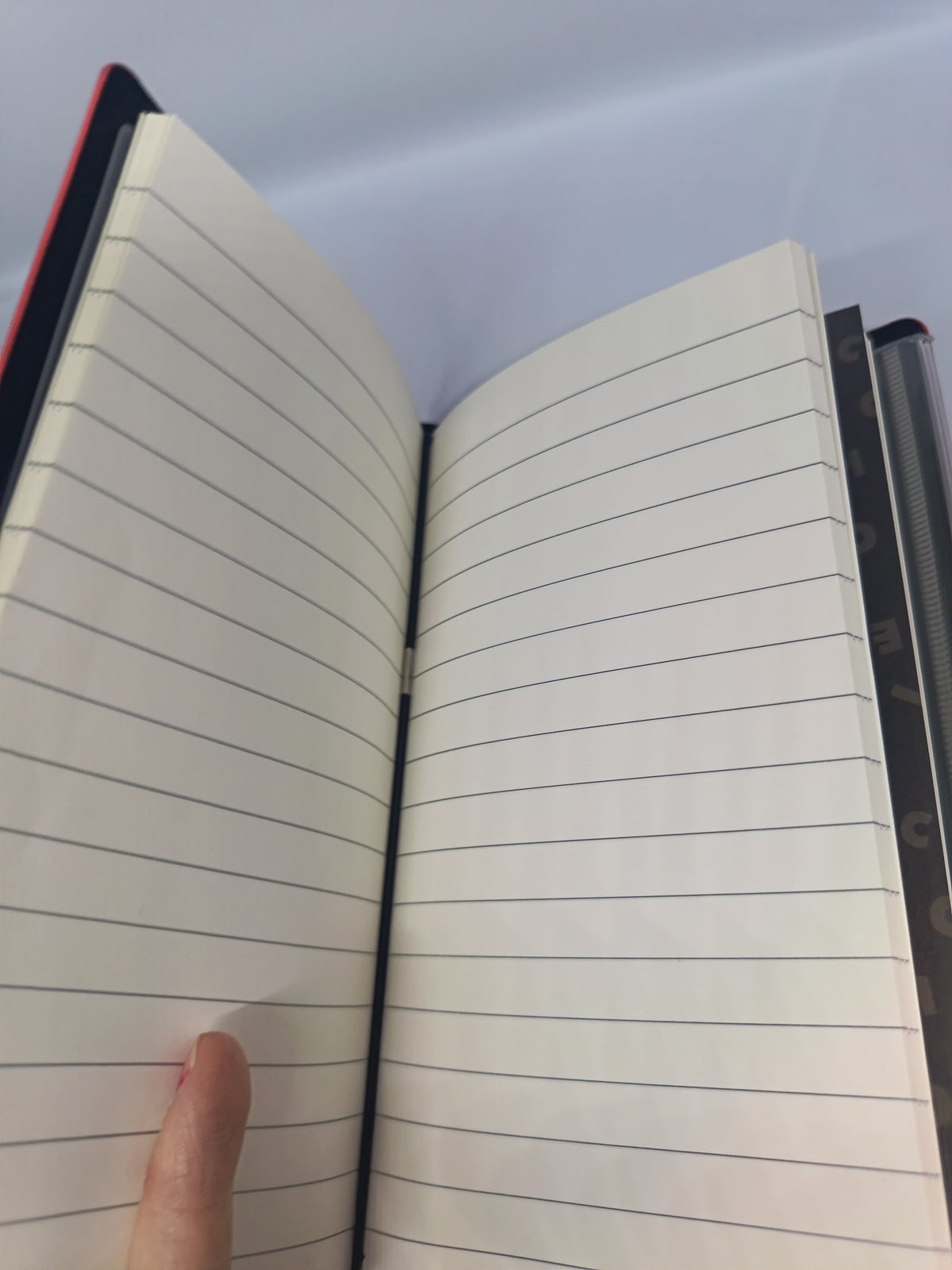 Carnets de voyage Disney Mickey