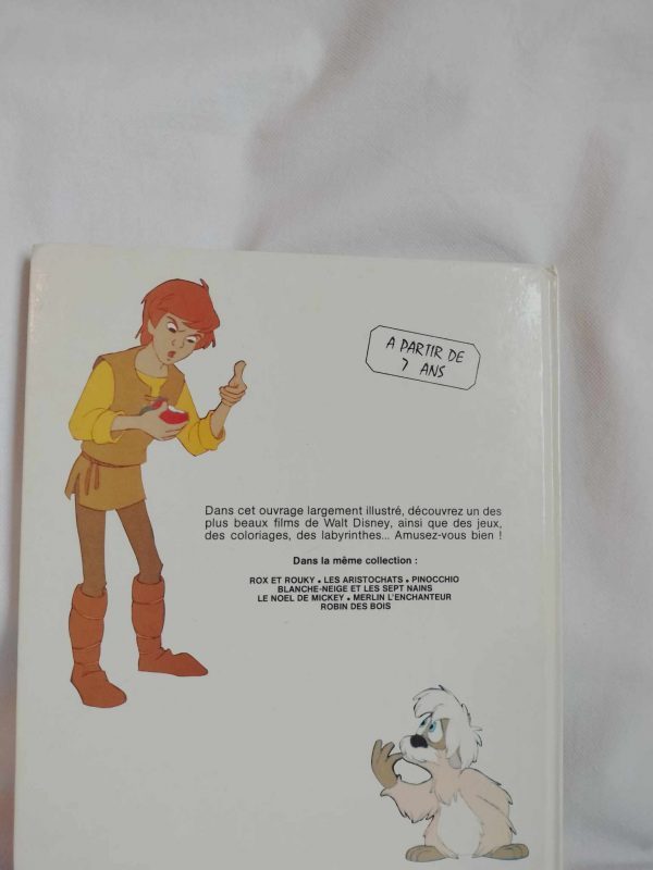 Livre TARAM et le Chaudron Magique – Image 2