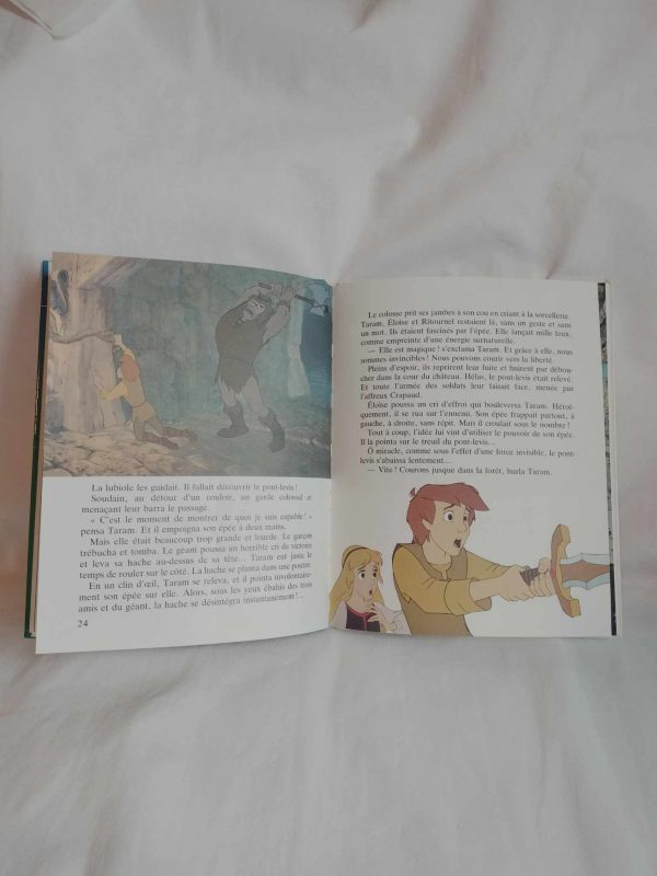 Livre TARAM et le Chaudron Magique – Image 3